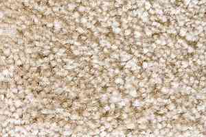 Ковролин AW Masquerade Gaudia 47 фото  | FLOORDEALER